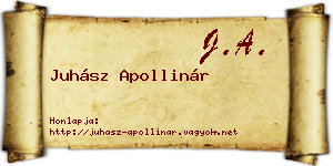 Juhász Apollinár névjegykártya